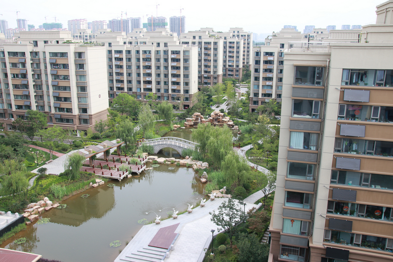 real estate development