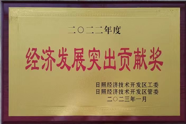 Outstanding Contribution Award for Economic Development in 2022