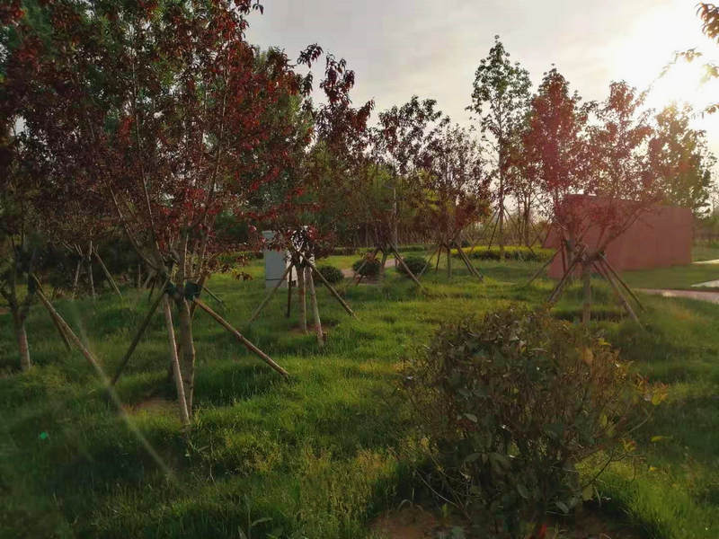 Municipal landscaping