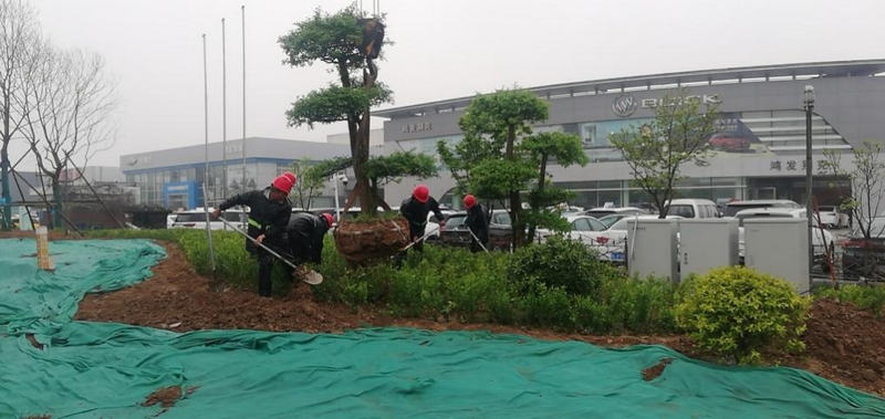 Municipal landscaping