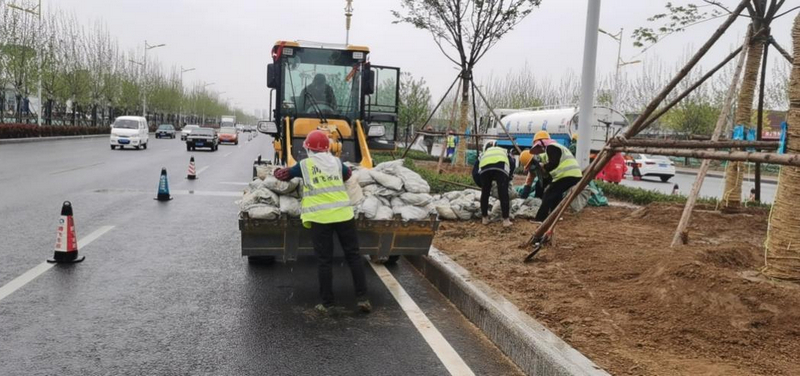 Municipal landscaping